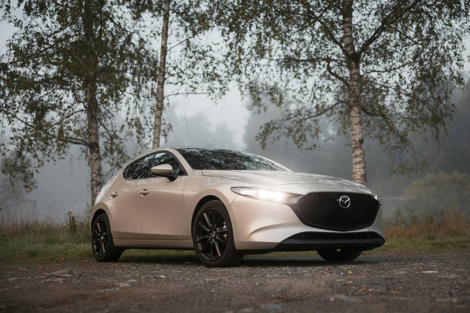 Beige Mazda3 seen from the front on a gravel track between birch trees in mist